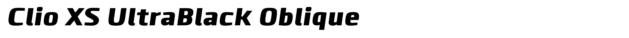 Clio XS UltraBlack Oblique image